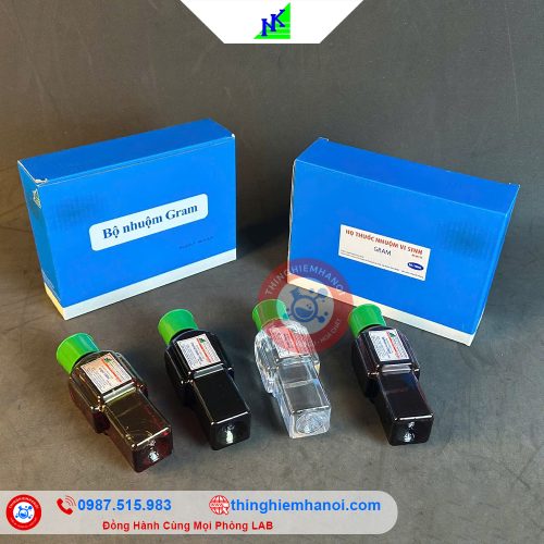bộ nhuộm gram nam khoa chính hãng