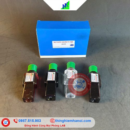 bộ thuốc nhuộm gram nam khoa