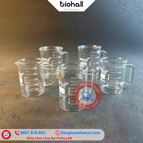 cốc beaker thấp thành có quai