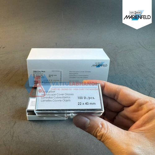 Lamen 22x40mm Marienfeld Đức - Code 0101122