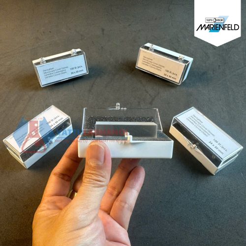 Lamen 24x50mm Marienfeld Đức - Code 0101222