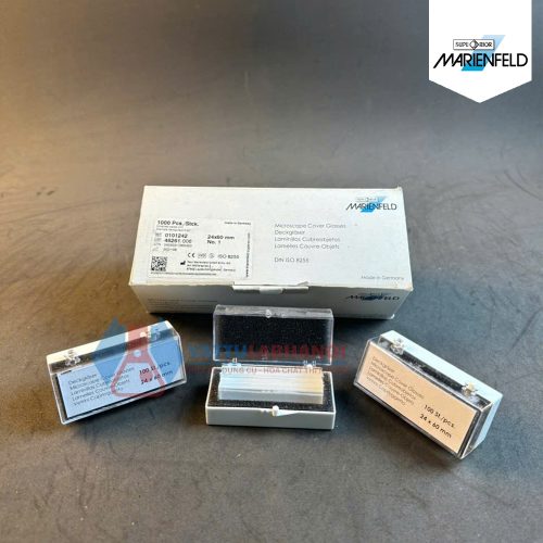 Lamen 24x60mm Marienfeld Đức - Code 0101242