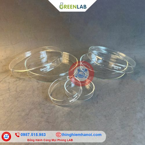 hộp lồng petri thuỷ tinh hãng GreenLab
