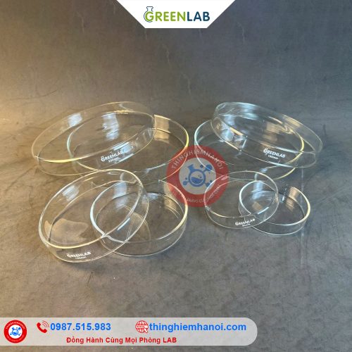hộp lồng petri thuỷ tinh hãng GreenLab giá rẻ