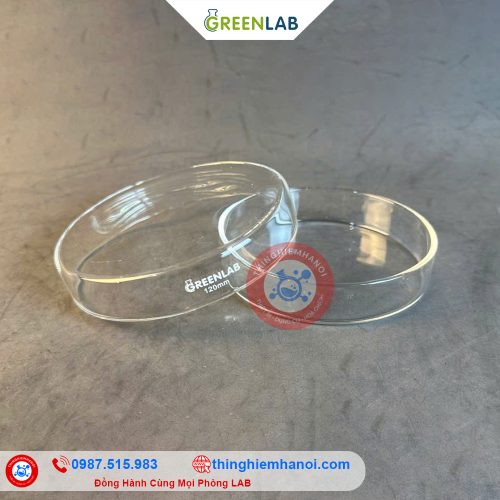 hộp lồng đĩa petri thuỷ tinh hãng GreenLab