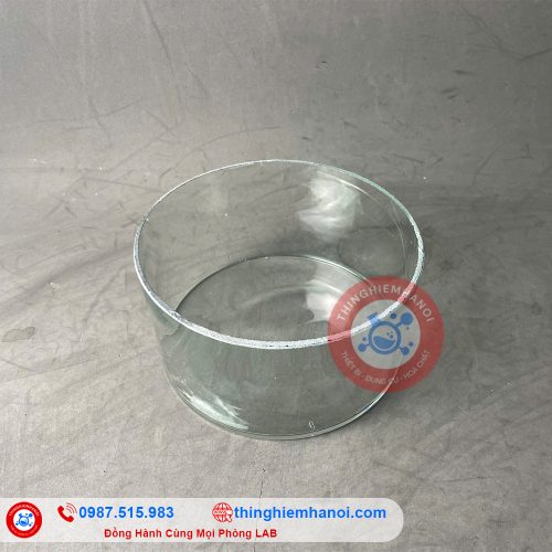 Chậu thuỷ tinh thí nghiệm